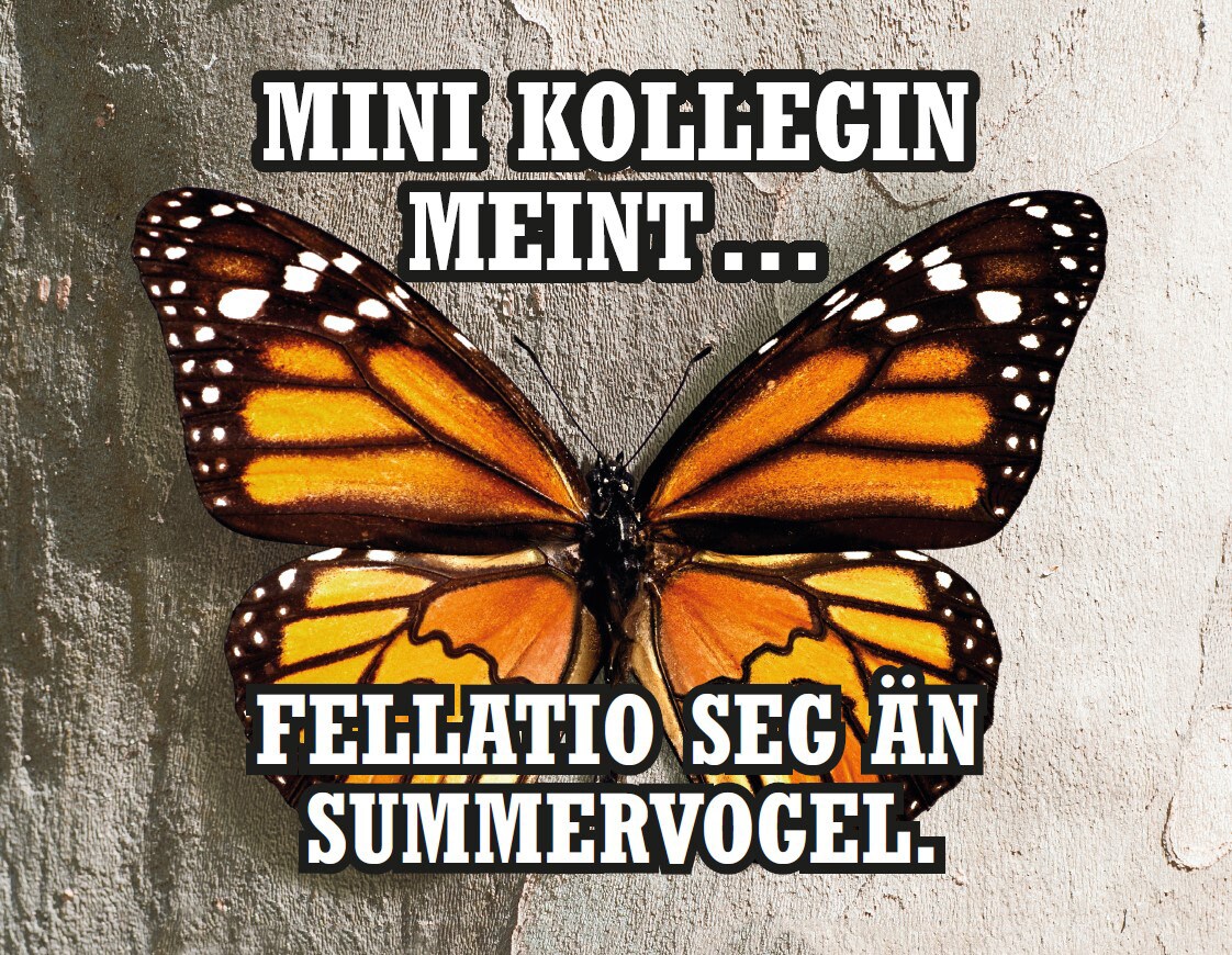 Das Wort Fellatio bezieht sich nicht auf ein exotisches Insekt. Das Wort Fellatio bezieht sich nicht auf ein exotisches Insekt.